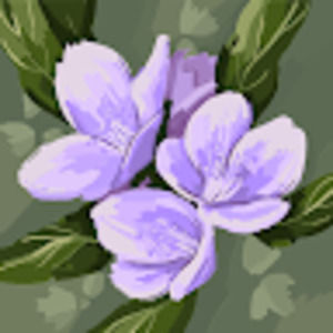 Meet your Posher, Kanika